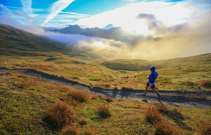 UTMB 2014